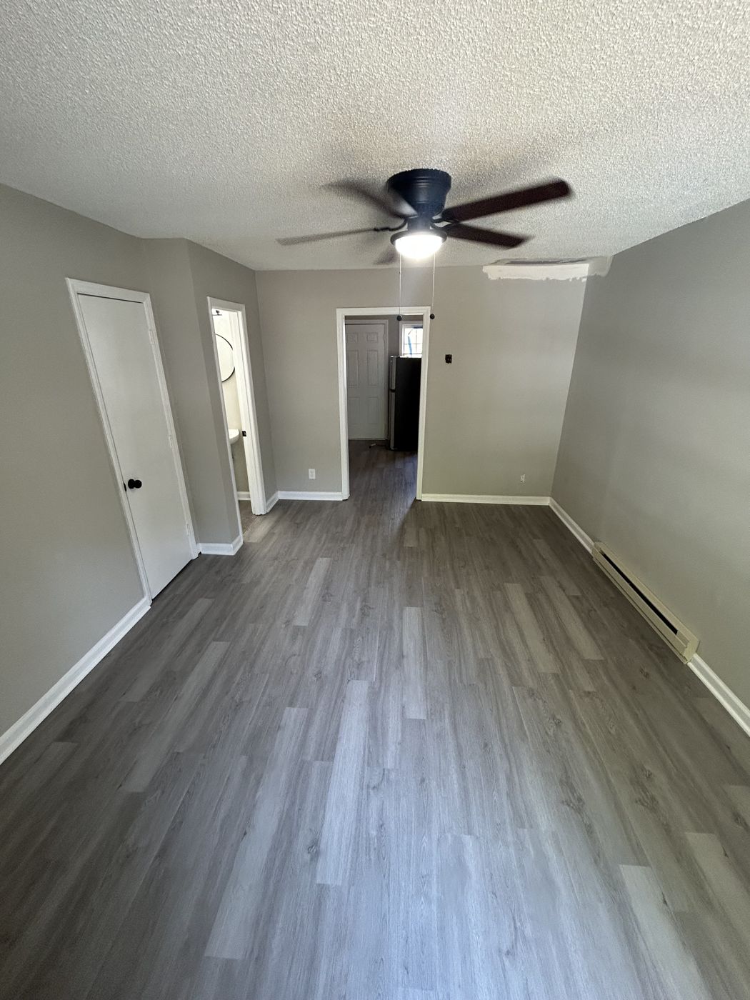 Living room with ceiling fan