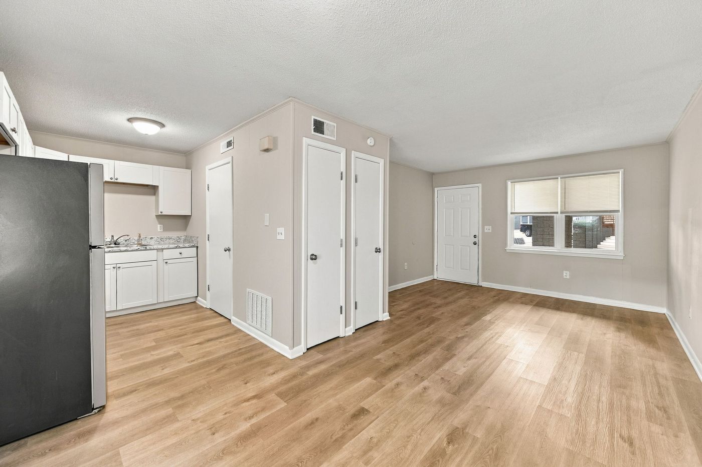Living area and kitchen
